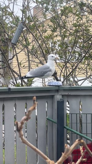 CjQKMFNuYXBjaGF0LzEzLjQzLjAuNDQgKGlQaG9uZTEzLDE7IGlPUyAxOC41OyBnemlwKSAC