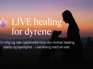 LIVE healing for dyr